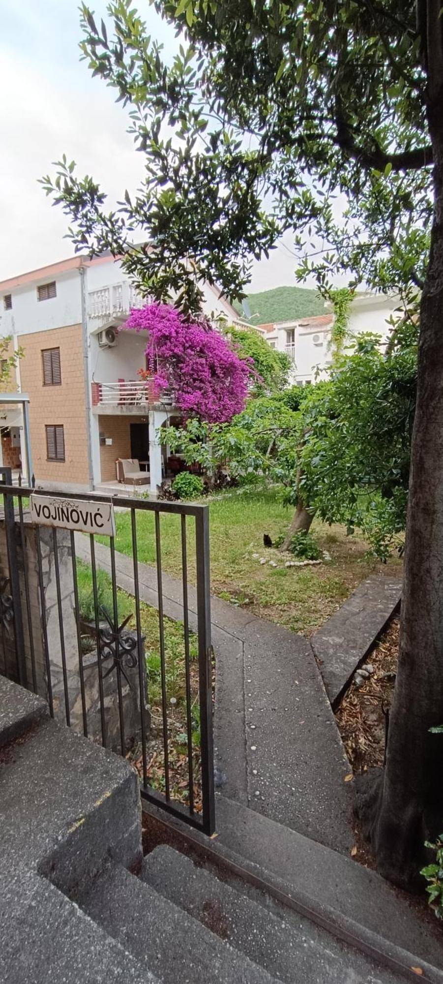Vojinovic Apartments Budva Luaran gambar