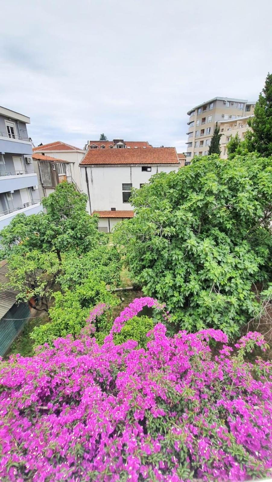 Vojinovic Apartments Budva Bilik gambar