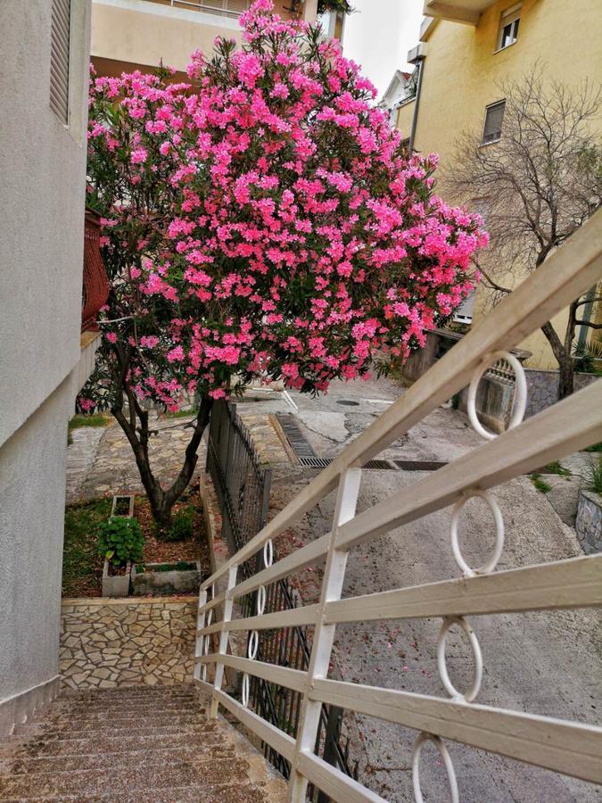 Vojinovic Apartments Budva Luaran gambar