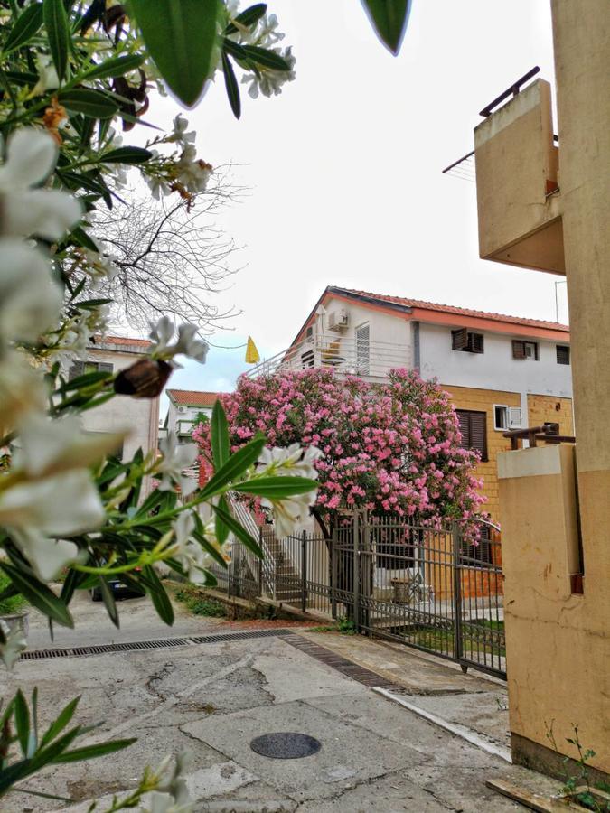 Vojinovic Apartments Budva Luaran gambar